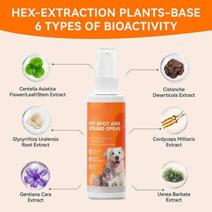 Itch Relief Spray –Vet Recommended Skin Soothing Quantum Silver Spray for Dogs & Cats✨