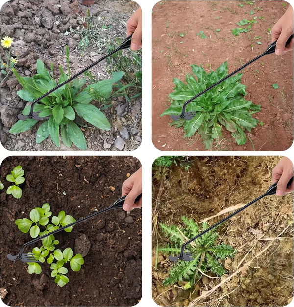 Stand-Up Weed Puller for Easier, Cleaner Garden Care