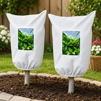 White 2PCS